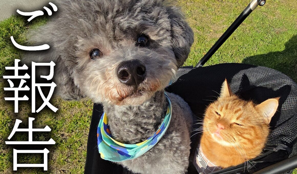 みなさまにご報告があります...