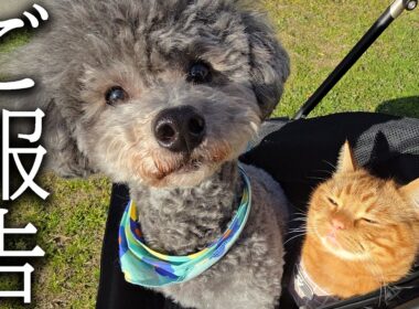 みなさまにご報告があります...