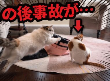 この後、地獄です。