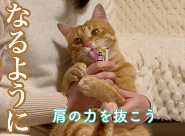 自分らしく生きていいよ｜猫がそっと教えてくれたこと