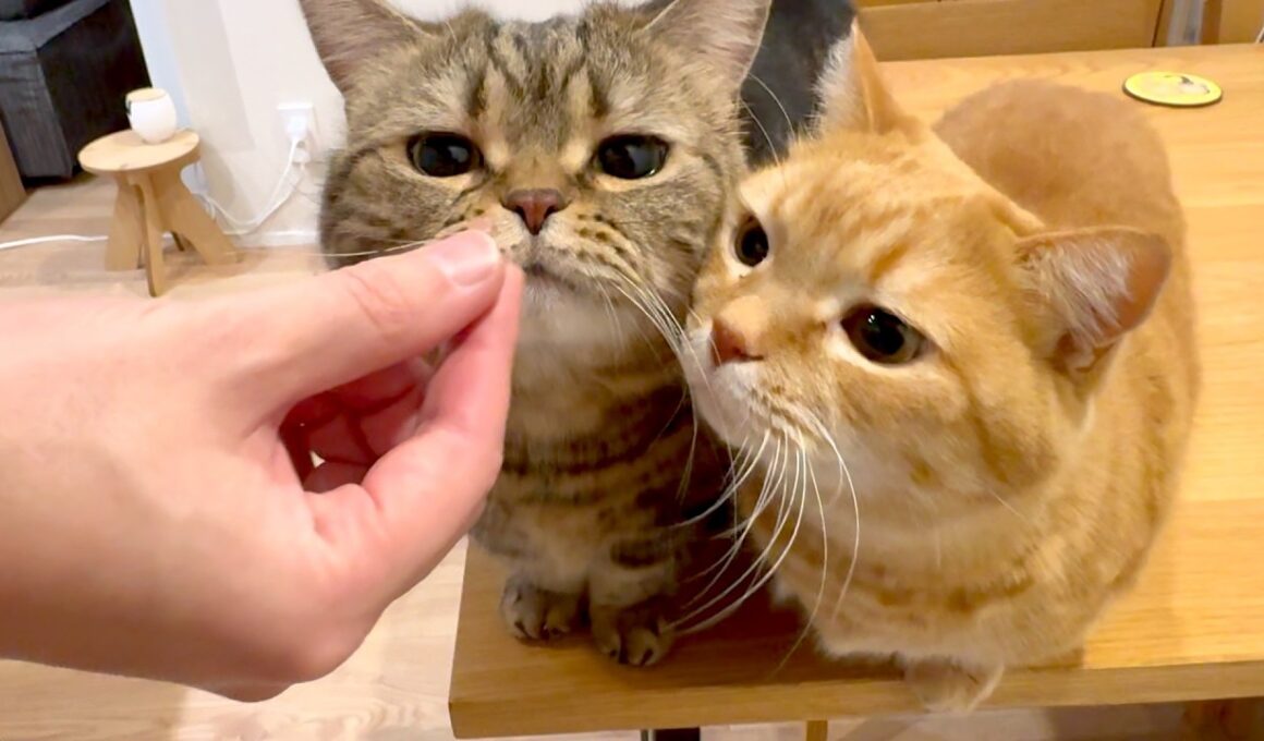 和解しました。