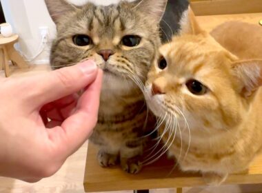 和解しました。