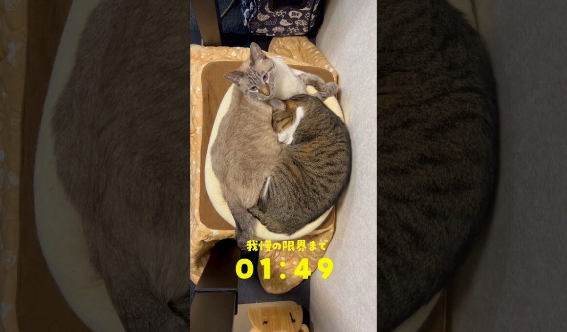 禁忌を犯してしまいました