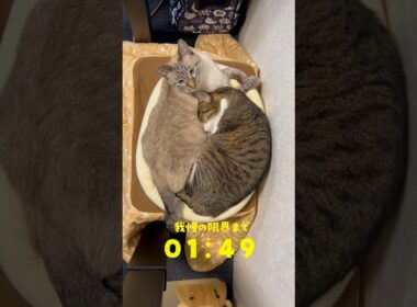 禁忌を犯してしまいました