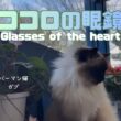 バーマン猫ガブとウリ【ココロの眼鏡】Glasses of the heart（バーマン猫）Birman/Cat