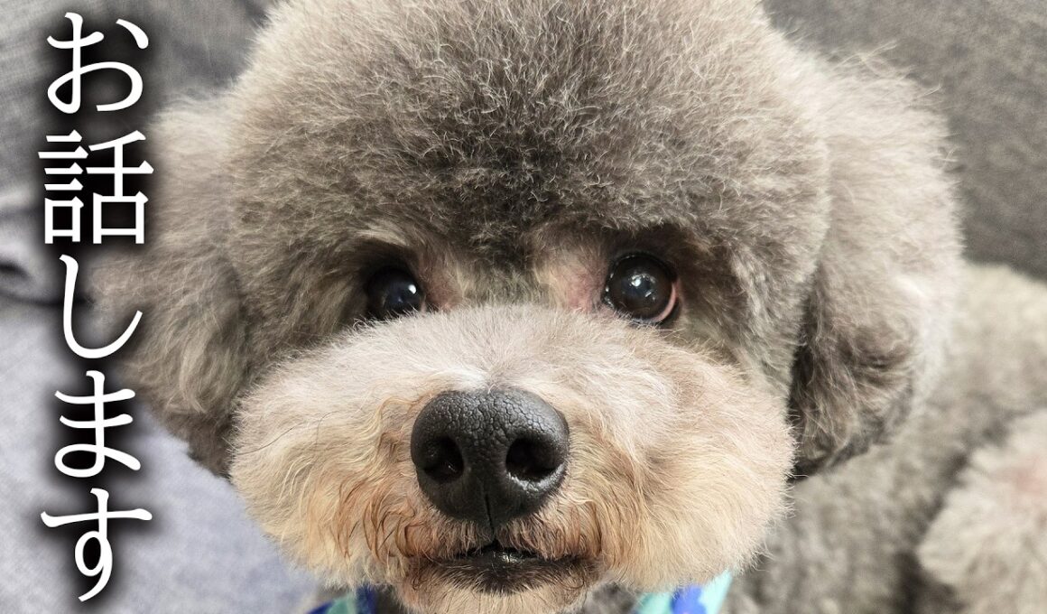 重大な決断をしました...