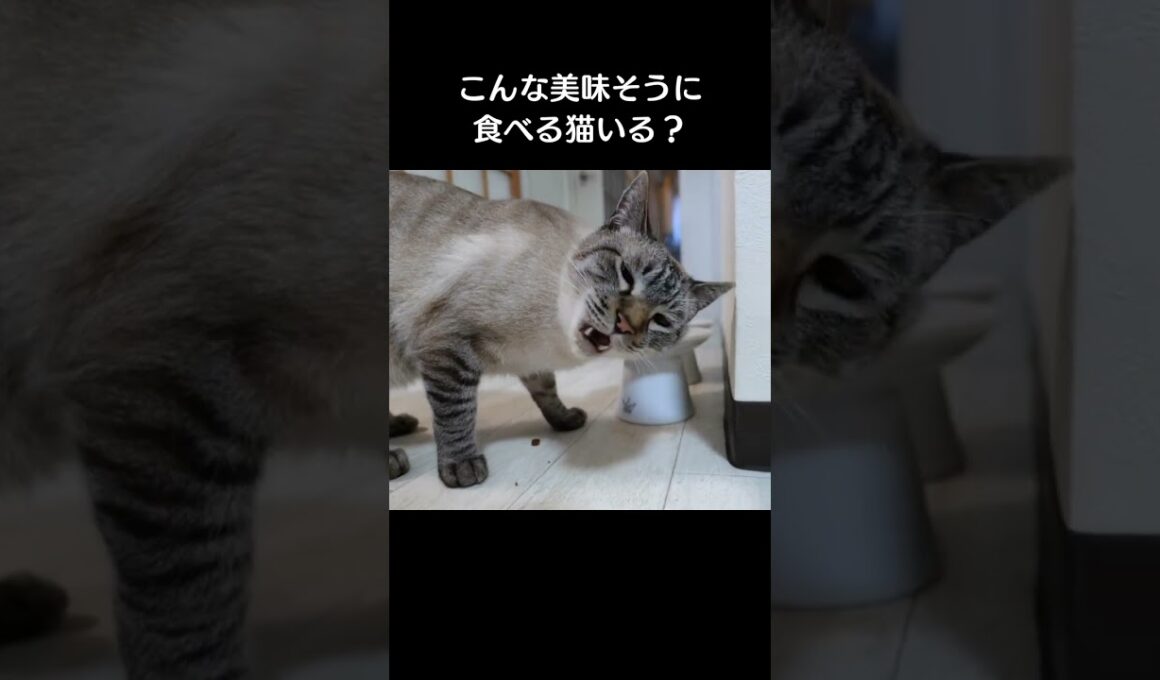 クーッ！たまんねぇなあ！