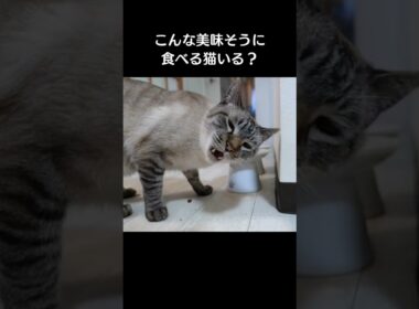 クーッ！たまんねぇなあ！