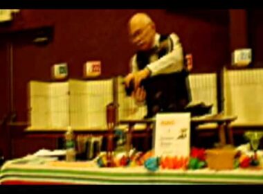 Havana Brown Cats at GLASS Citicats Cat Show in Portage,   IN June 25, 2011