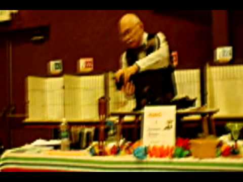 Havana Brown Cats at GLASS Citicats Cat Show in Portage,   IN June 25, 2011