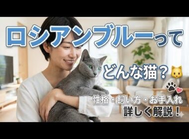 ロシアンブルーの魅力とは？性格・飼い方・お手入れのポイントを解説！🐱💙