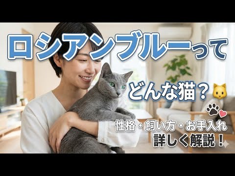 ロシアンブルーの魅力とは？性格・飼い方・お手入れのポイントを解説！🐱💙