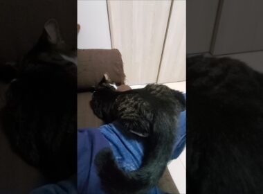 乗っかるのは後ろ足だけのツブ君