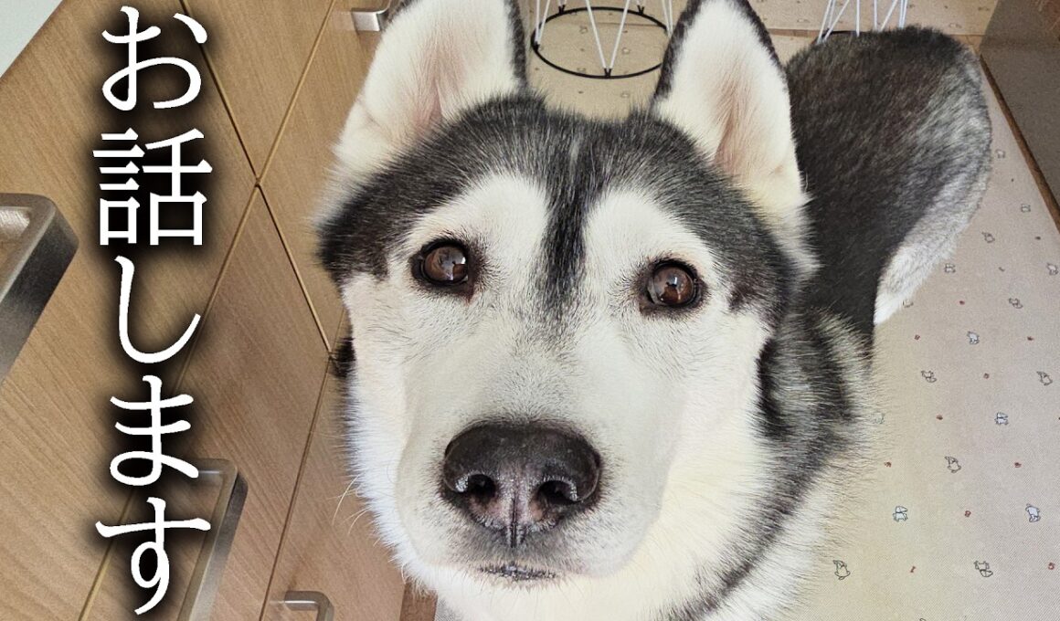 嬉しいご報告があります...