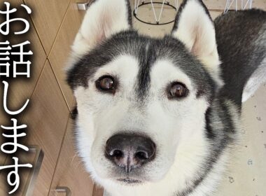 嬉しいご報告があります...