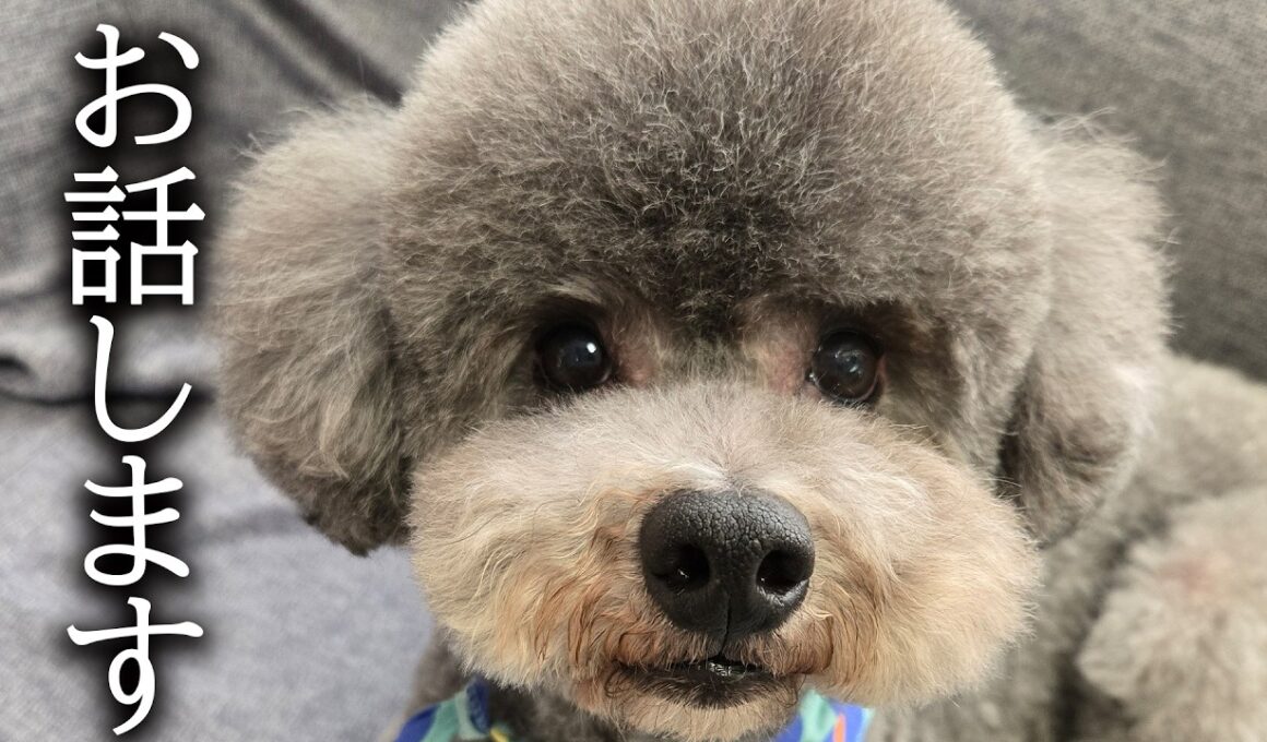 問題の件についてお話します...