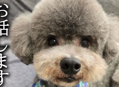 問題の件についてお話します...