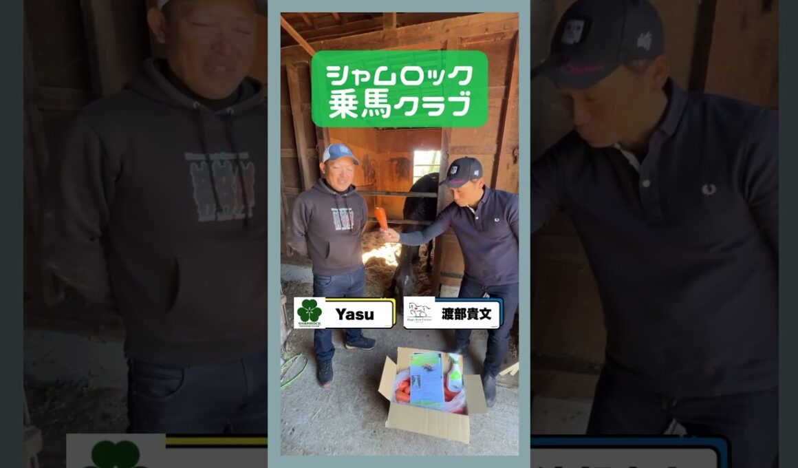 シャムロック乗馬クラブ様インタビュー