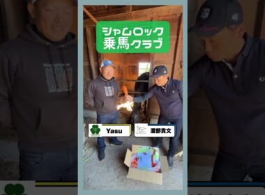 シャムロック乗馬クラブ様インタビュー