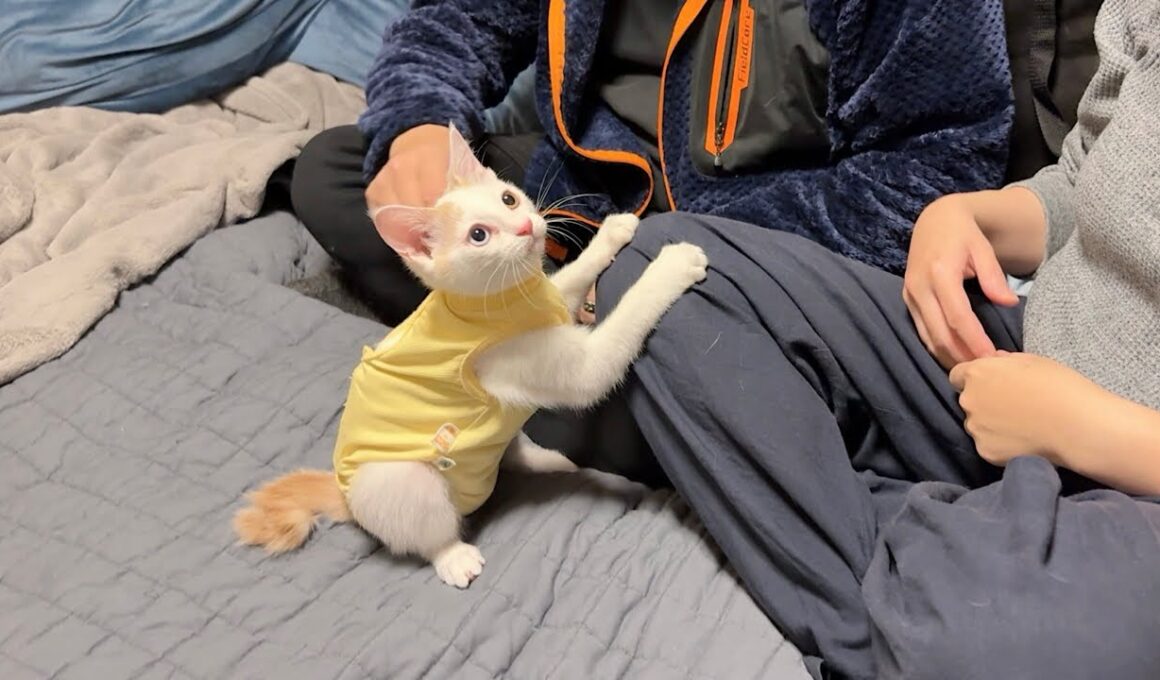 新しい家族になる里親さんと初対面した子猫がまさかの行動に出ました…