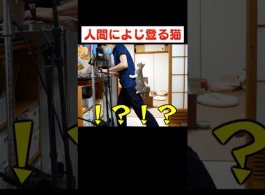 ちょっと痛いけど本当はうれしいやつ