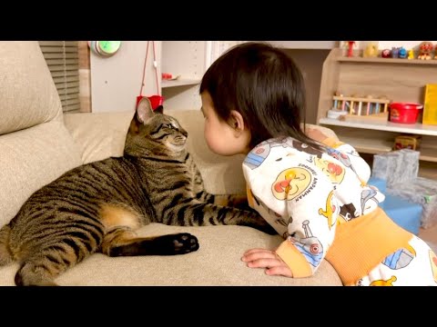 寝る前、猫に話しかける1歳児…そのやりとりが尊すぎました...。