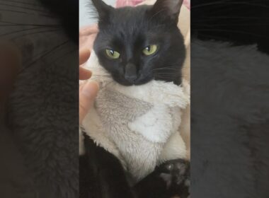 なれない服を着てもらったらかわいいけど怒らせた… #願望