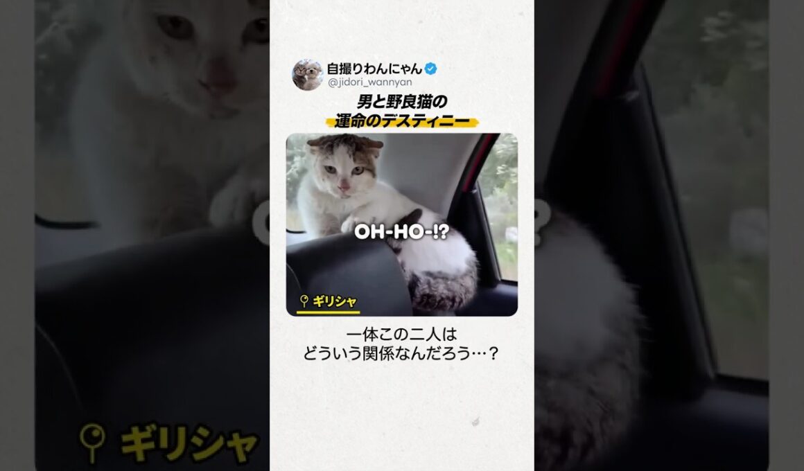 運命を決めた『10秒のカウントダウン』