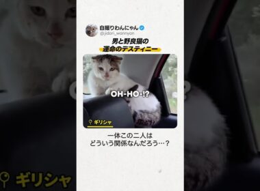 運命を決めた『10秒のカウントダウン』