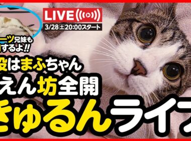 🔴【3月28日(土) 20時スタート】甘えん坊全開！きゅるるんライブ✨