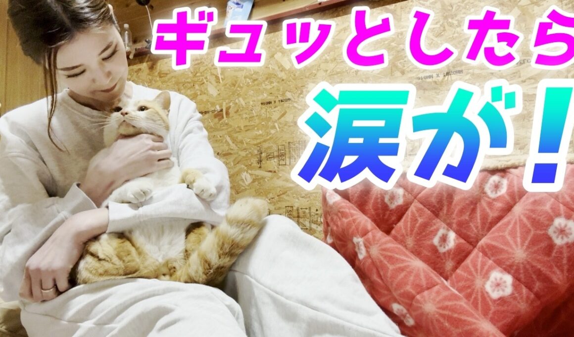 夜ひとりでお留守番してた庭子猫に『ギュッ』としたら…可愛すぎて泣いた！【三毛母猫の子猫】