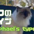 バーマン猫ラフ【ラフのタイプ】Raphael's type（バーマン猫）Birman/Cat