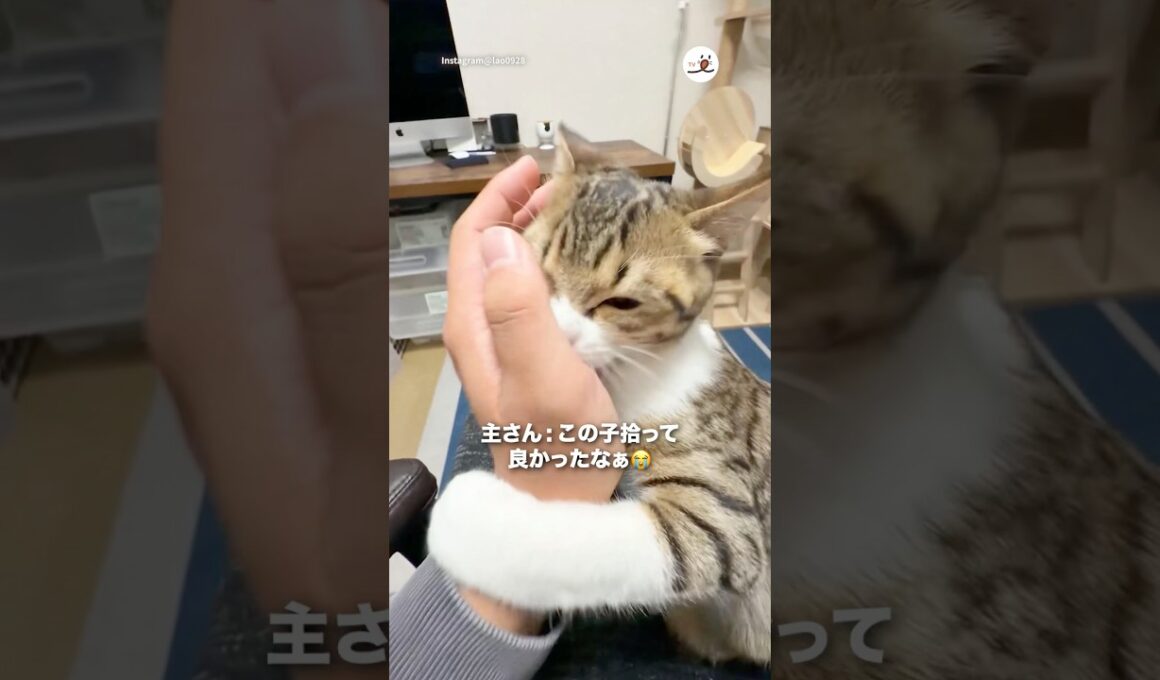 2時間半、家を空けたらコレ🤭｜PECO