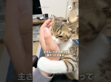 2時間半、家を空けたらコレ🤭｜PECO