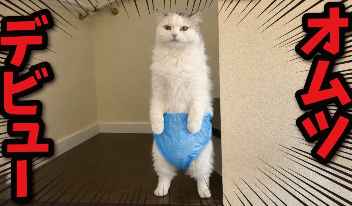 毎日アレ💩を落とされるのでオムツを履かせてみた結果…