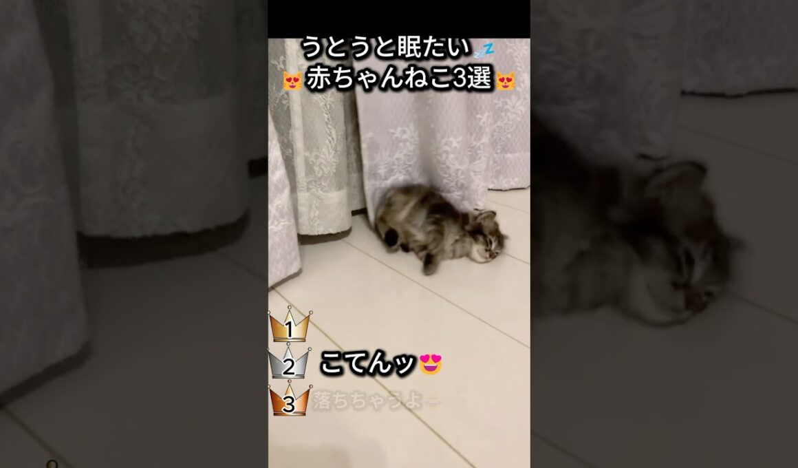 うとうと眠たい💤赤ちゃん3選❤