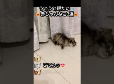 うとうと眠たい💤赤ちゃん3選❤