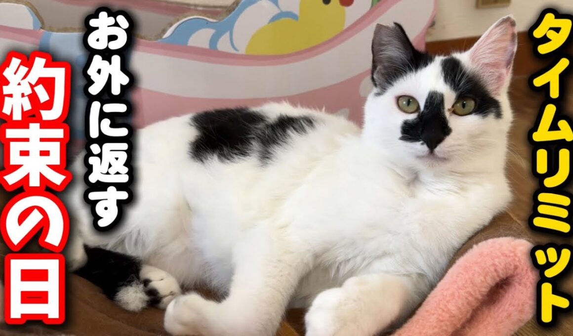 お外に返す約束の日…真面目なお話があります