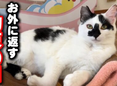 お外に返す約束の日…真面目なお話があります