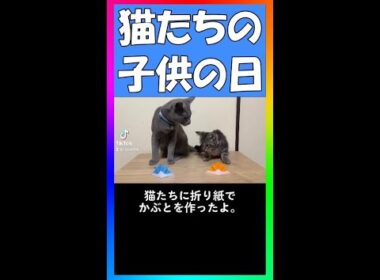 こどもの日なのでかぶとを折り紙で作って猫に被せてみた！ #Shorts