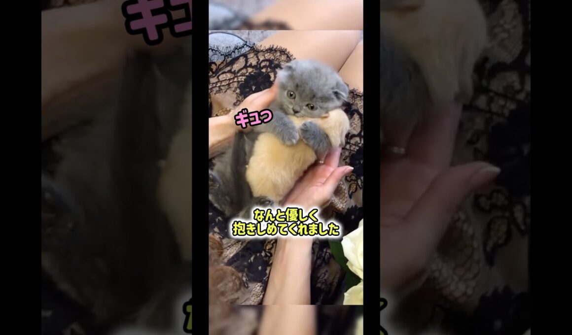 子猫の胸に子犬を預けてみると…