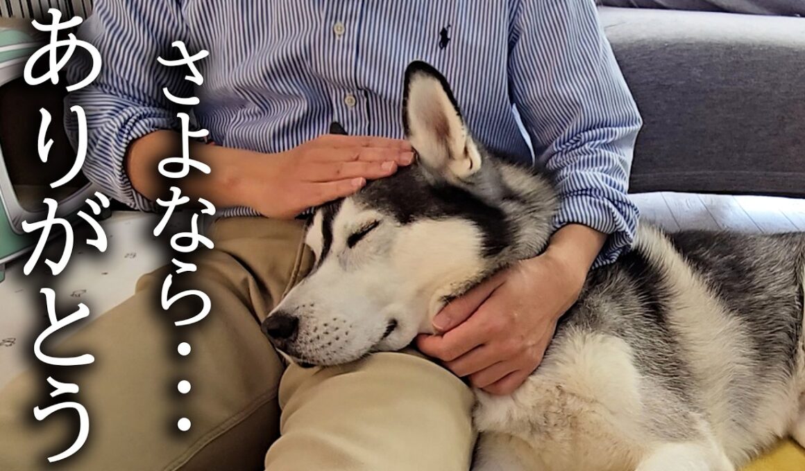 悲しい事がありました...