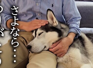 悲しい事がありました...