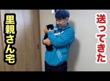 子猫を里親さん宅へ送り届けてきました【トライアル開始】