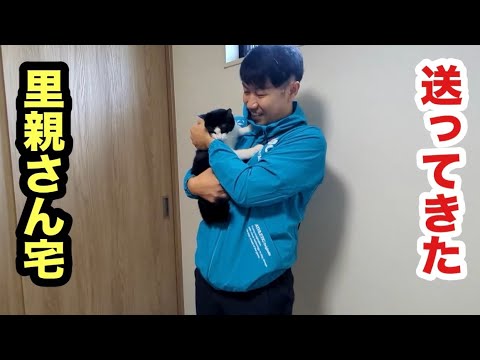 子猫を里親さん宅へ送り届けてきました【トライアル開始】