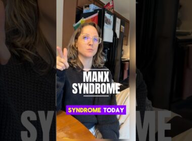 Ever seen a cat with no tail? Most likely it’s Manx Syndrome (& I’m gonna break it down for you)