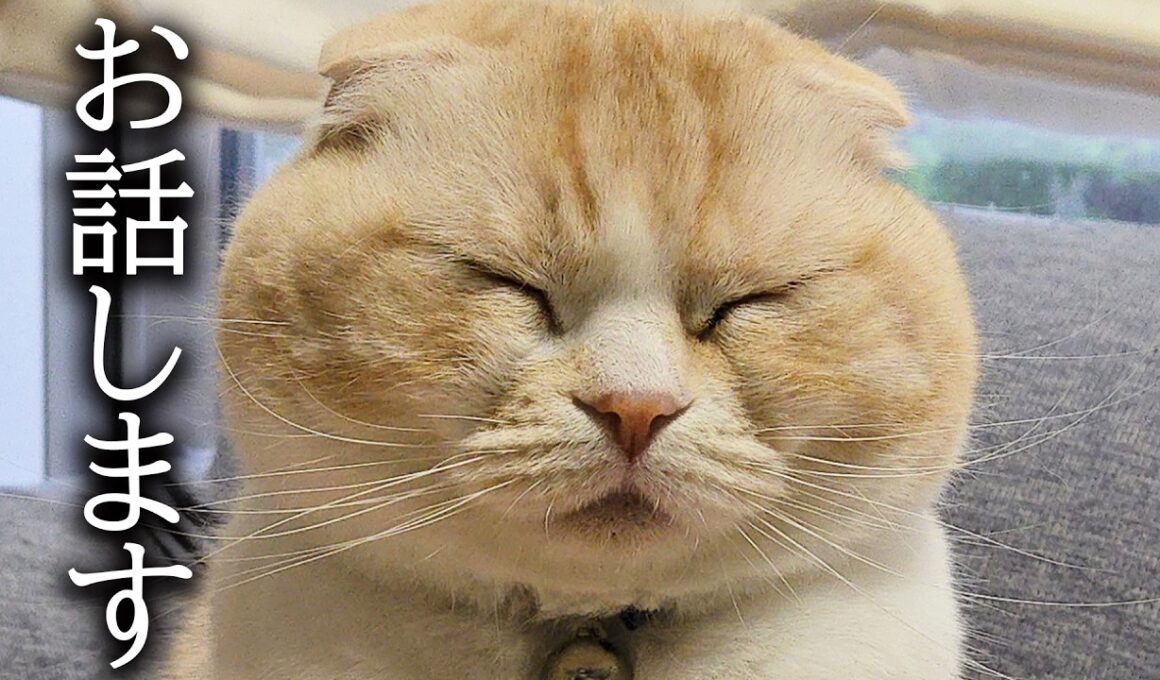 4月になりましたが突然ですがお休みすることになりました...