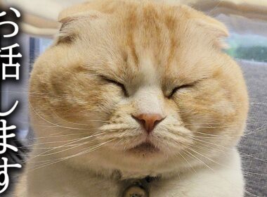 4月になりましたが突然ですがお休みすることになりました...