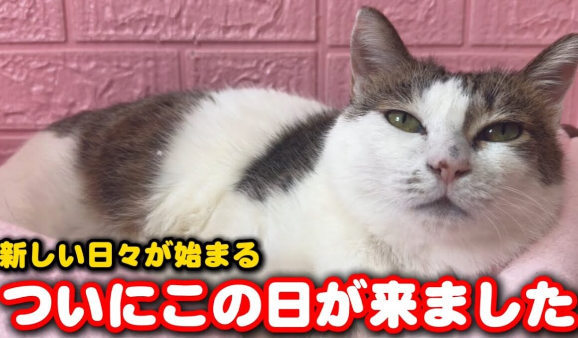 ついにこの日がやってきました！