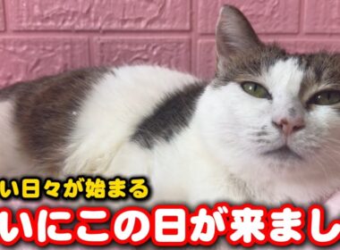 ついにこの日がやってきました！